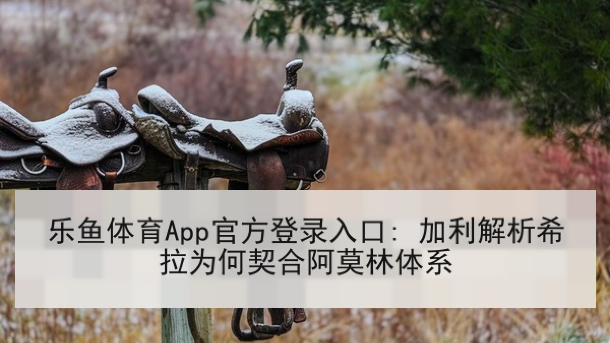 乐鱼体育App官方登录入口: 加利解析希拉为何契合阿莫林体系 乐鱼体育App官方登录入口: 加利解析希拉为何契合阿莫林体系