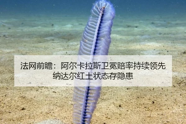 fa-wang-qian-zhan-a-er-ka-la-si-wei-mian-pei-lv-chi-xu-ling-xian-na-da-er-hong-tu-zhuang-tai-cun-yin-huan-2-518.jpg